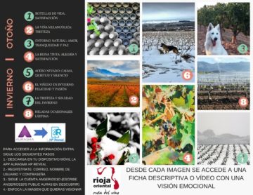 FOLLETO Y APP RUTA ENOLÓGICO – EMOCIONAL