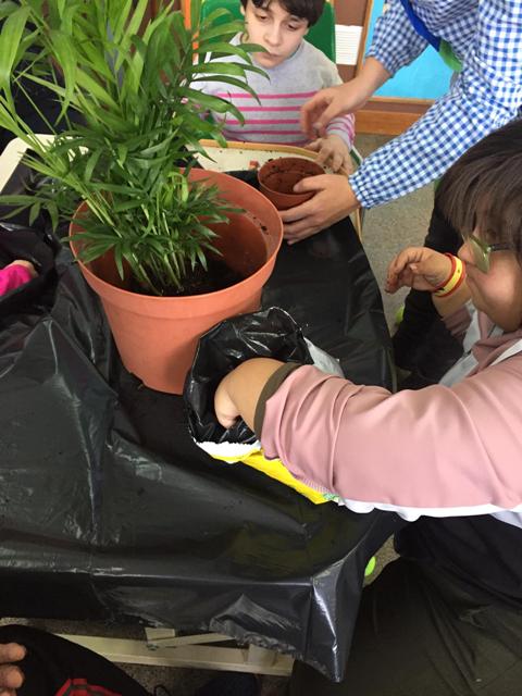 CLASES DE JARDINERÍA