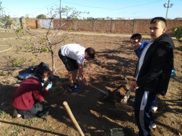 NUESTRO HUERTO ESCOLAR