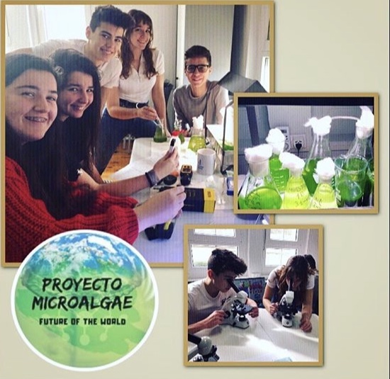 PROYECTO MICROALGAE