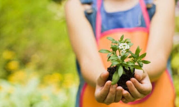 RESPETAMOS Y CUIDAMOS LAS PLANTAS