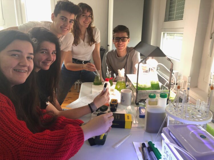 PROYECTO MICROALGAE