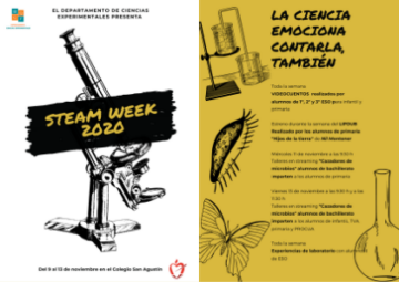 STEAM WEEK