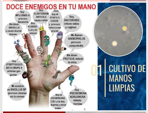 CULTIVO DE COLONIAS DE MICROORGANISMOS DE NUESTRAS MANOS