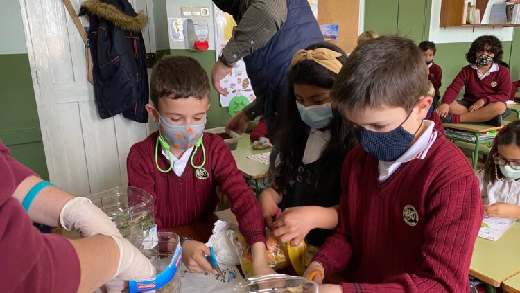 TALLER EXPERIMENTAL DE COMPOSTAJE PARA 2º DE PRIMARIA